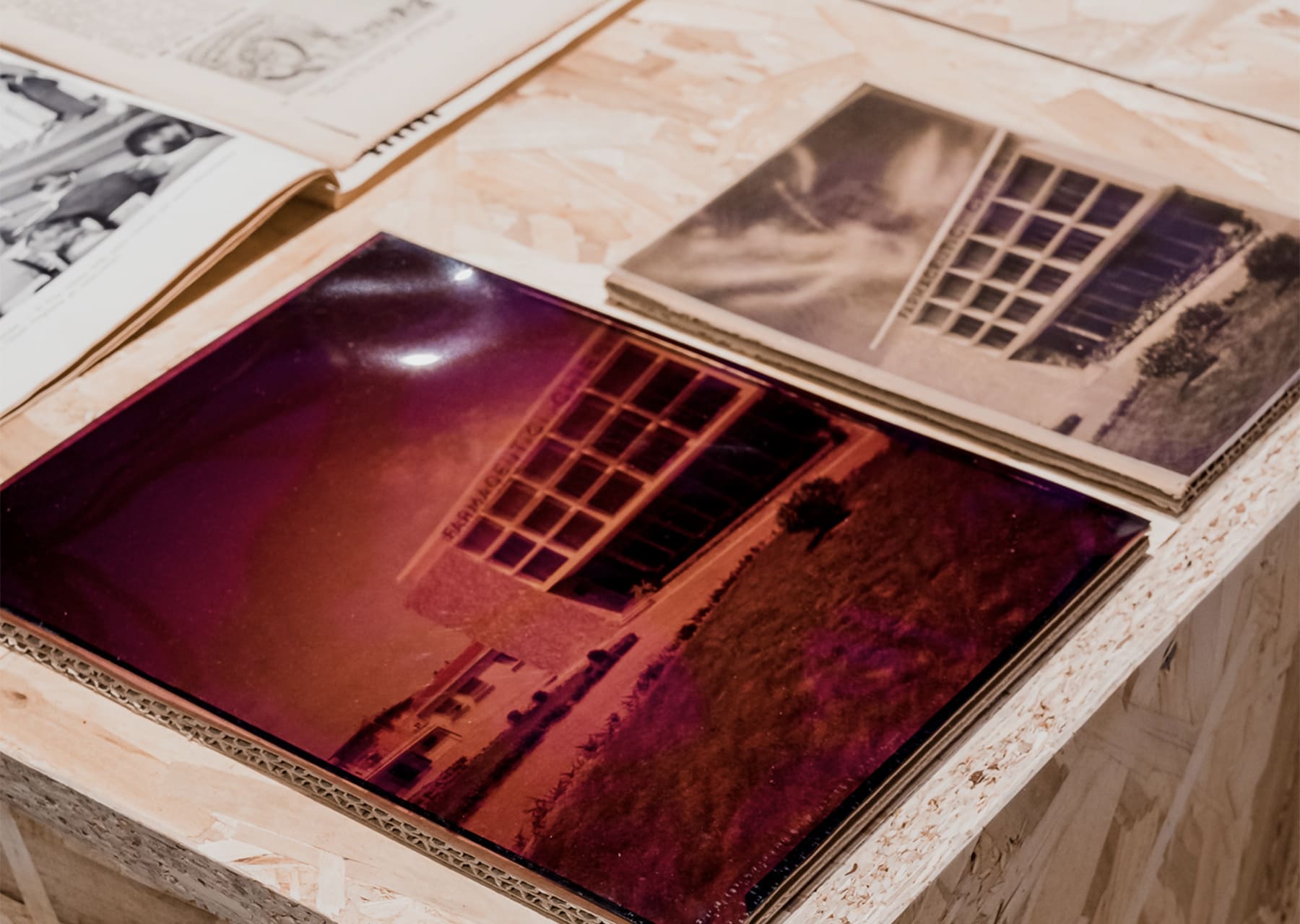 Chiesi-Gardens-news-past-present-future-01