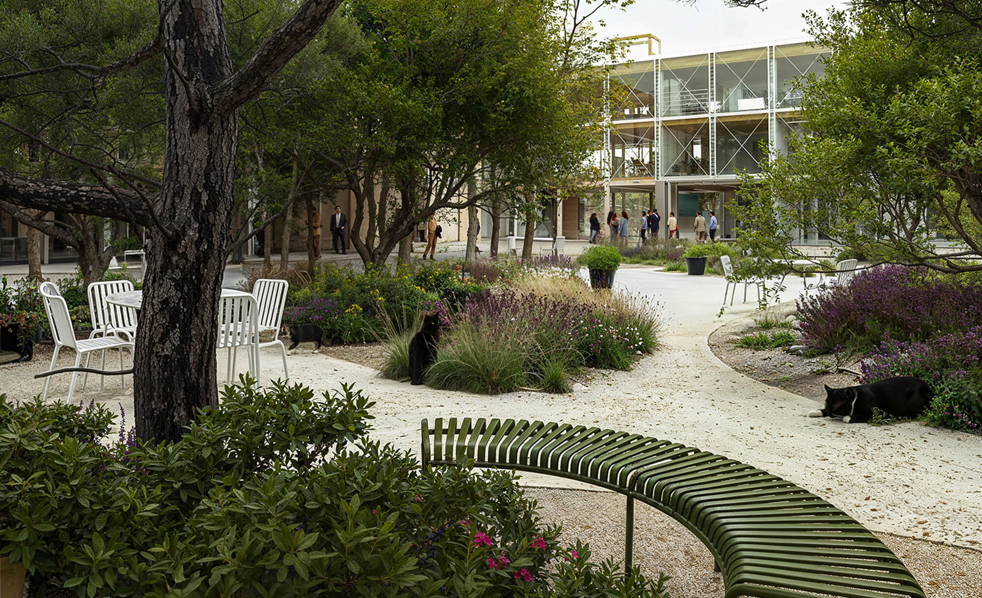 Chiesigardens-opening-background-garden