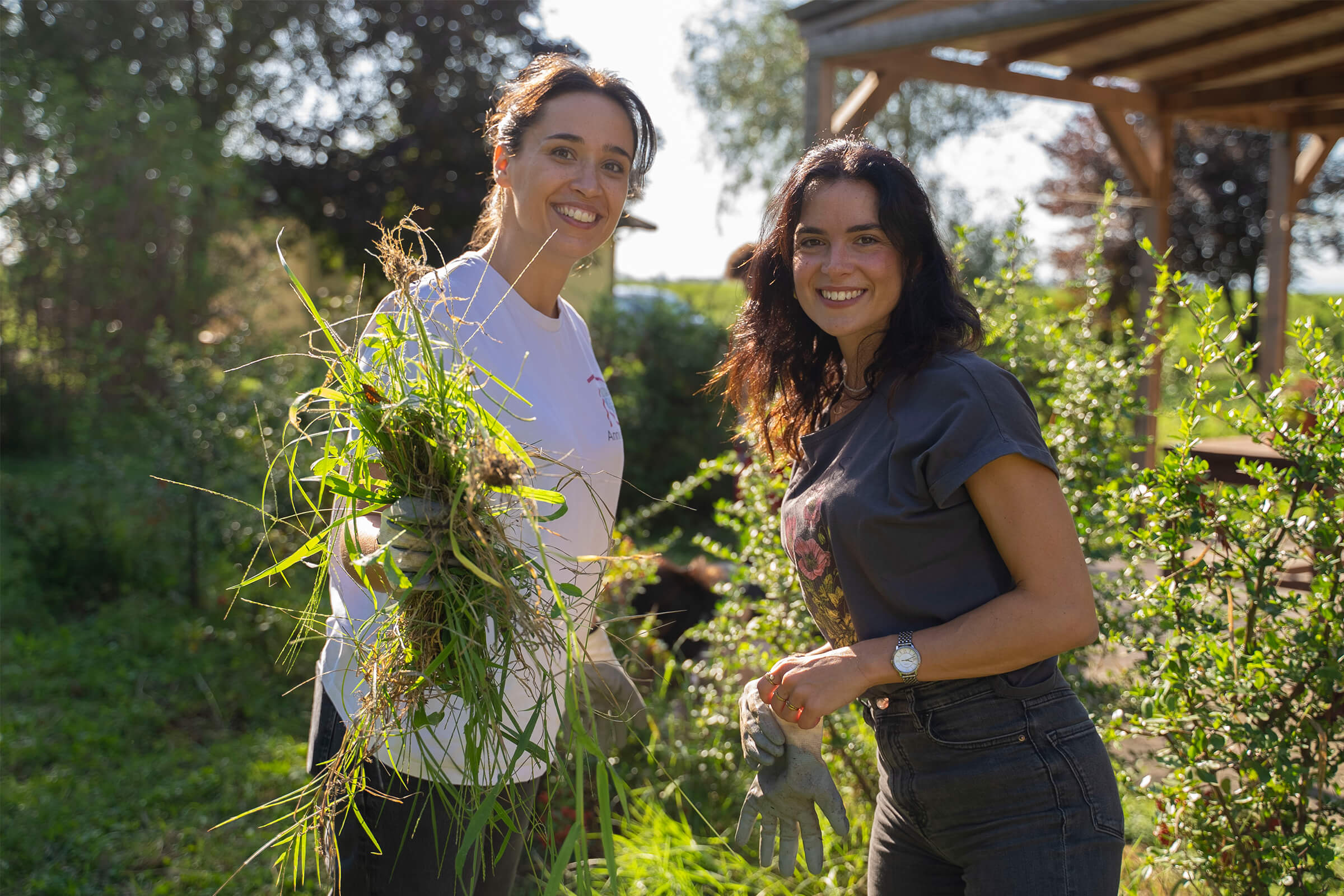 Chiesi-Gardens-chiesi-group-bcorp